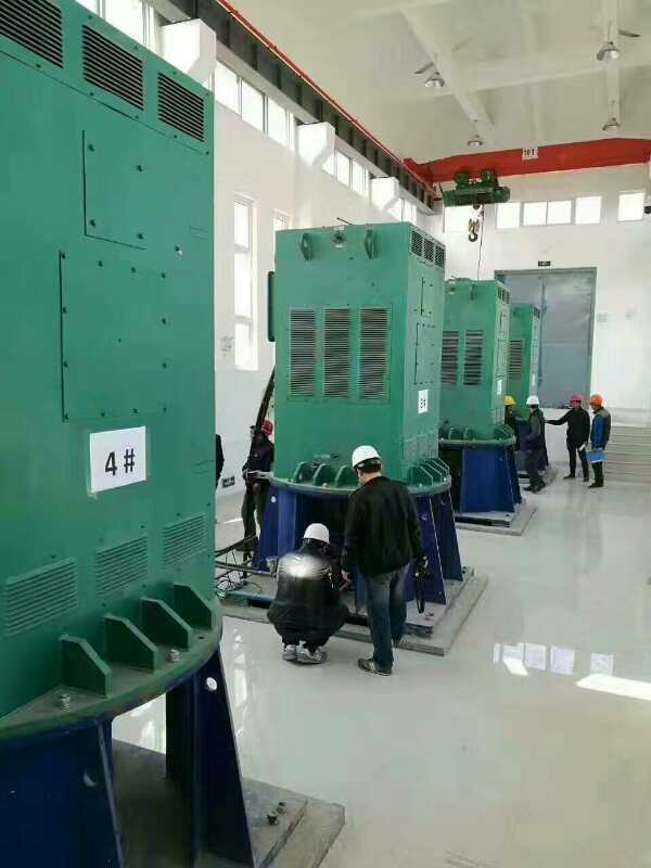 龙潭某污水处理厂使用我厂的立式高压电机安装现场